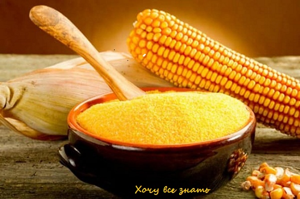 Диета на кукурузной каше