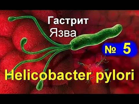 Какие 3 бактерии обязательно нужно лечить и почему это необходимо делать