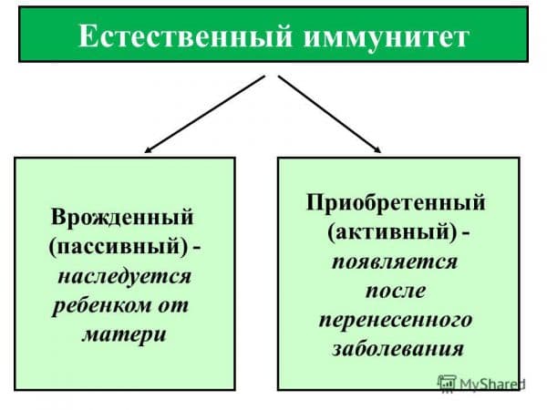 Лучшие препараты для иммунитета взрослым и средства - повышающие уколы и список таблеток для поднятия и повышения