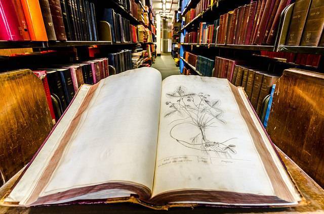 Фотофармакология