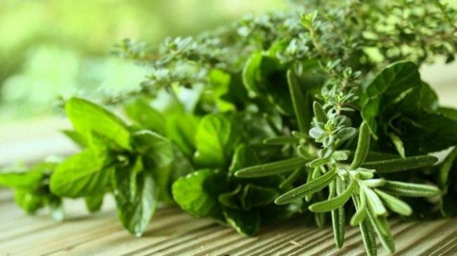 Какие травы, влияют на плод и беременность женщины?