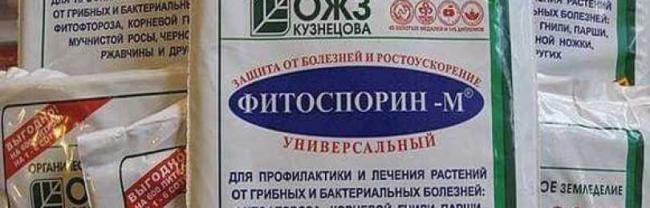"фитоспорин м": инструкция по применению, отзывы о препарате, советы по обработке растений