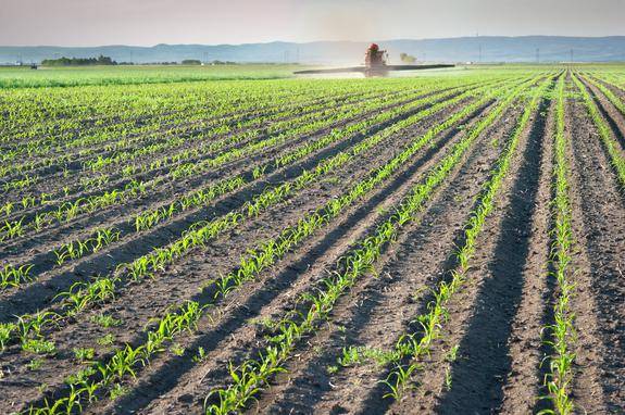 Азот почвы. круговорот азота в природе. биологическое связывание азота микробами-азотфиксаторами