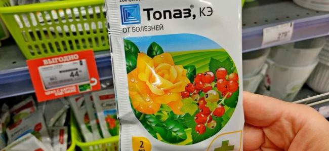 Препарат “топаз” от болезней растений и винограда