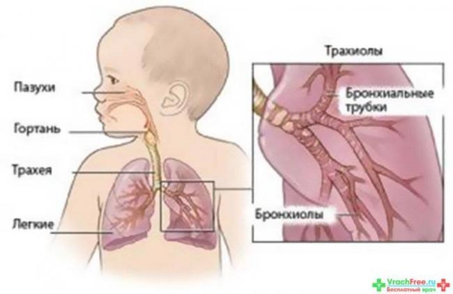 Причины и эффективное лечение при кашле с кровянистой мокротой