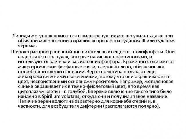 Ультраструктура бактериальной клетки