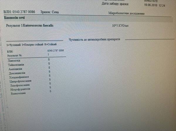 Причины появления и лечение бактериурии у ребенка