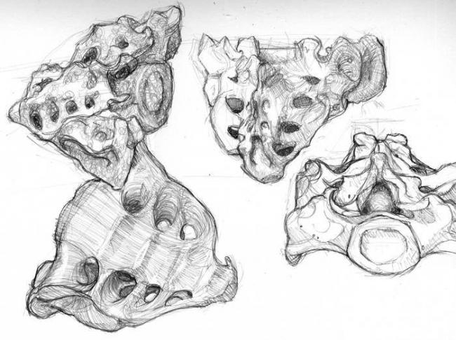 От чего могут появляться сильные боли в копчике?