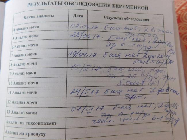 Бактерии в анализе мочи – причины и расшифровка результата