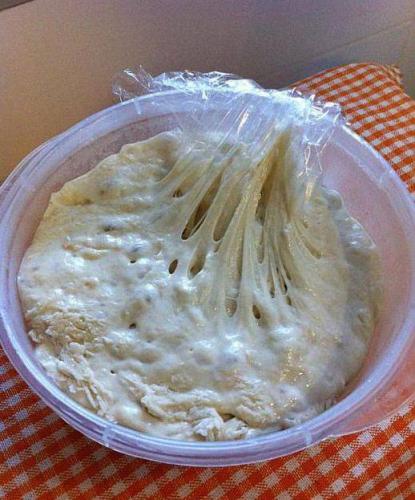 В чем заключается особенность роста и размножения бактериальных клеток