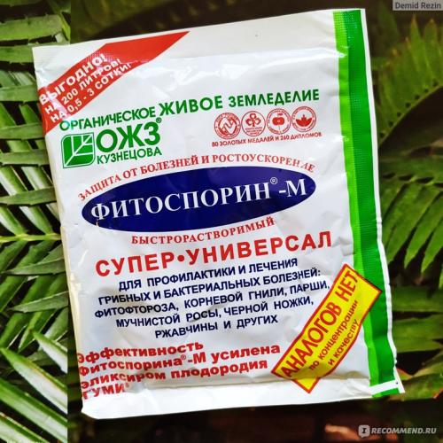 Фитоспорин: инструкция по применению, отзывы, когда обрабатывать