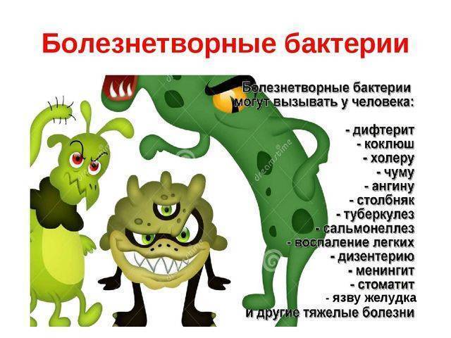 Какие 3 бактерии обязательно нужно лечить и почему это необходимо делать
