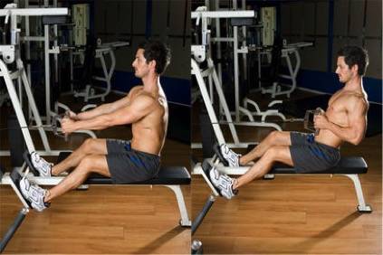 Лучшие упражнения для мышц спины