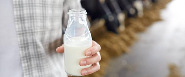 Молоко: полезные свойства и противопоказания