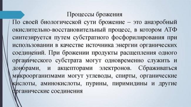 Брожение – энергия для бактерий, польза для человека