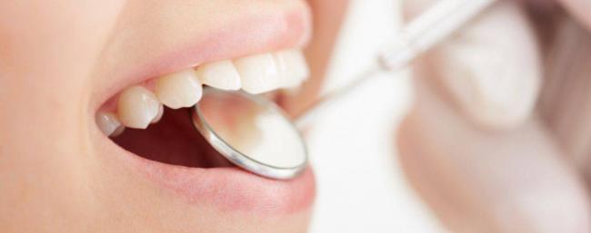 #чтиво | все, что нужно знать о бактериях - hi-news.ru