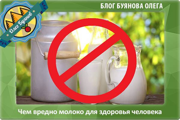 Состав грудного молока