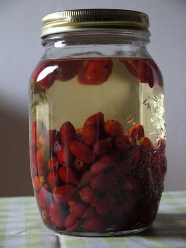 Ландыша настойка - инструкция по применению, отзывы, противопоказания