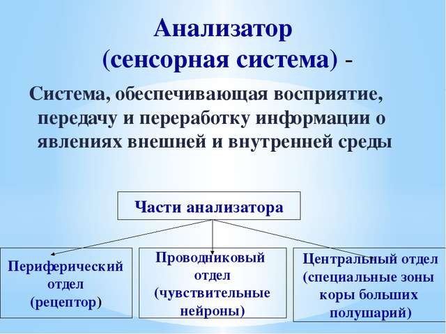 § 12. роль бактерий в природе и жизни человека