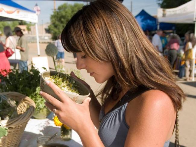 Травы, запрещенные на ранних и поздних сроках беременности