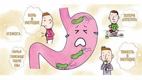 Какие 3 бактерии обязательно нужно лечить и почему это необходимо делать