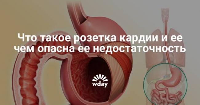 Недостаточность кардии желудка лечение народные средства
