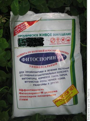Фитоспорин: от чего помогает, свойства, принцип действия, как использовать