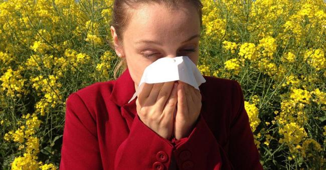 Эозинофилы в крови повышены, что делать? какова норма?