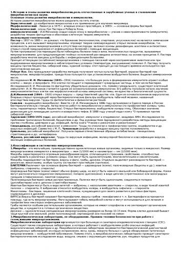 Молочнокислые бактерии - lactic acid bacteria