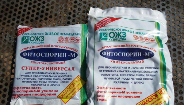 Фитоспорин-м — инструкция по применению