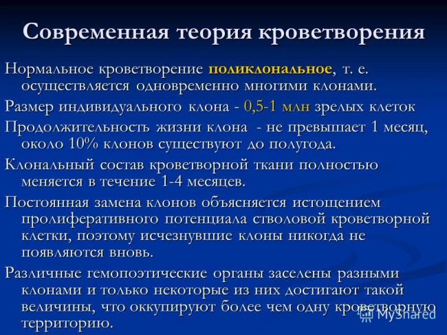 Что такое стволовые клетки и зачем они нужны?