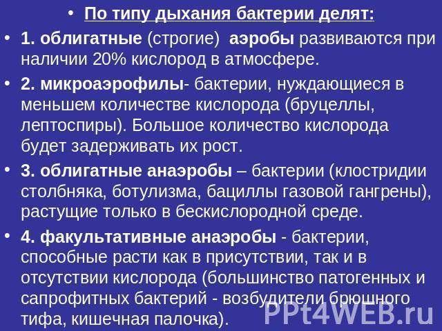 Характеристика основных групп микроорганизмов