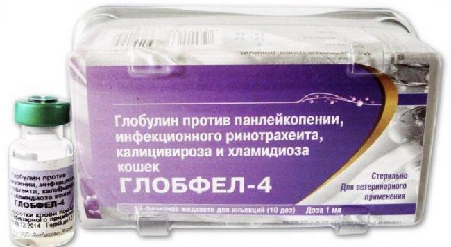 Глобфел-4 для кошек защита питомца от серьёзных инфекций
