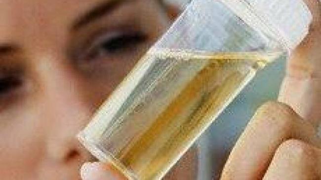 Причины появления и лечение бактериурии у ребенка