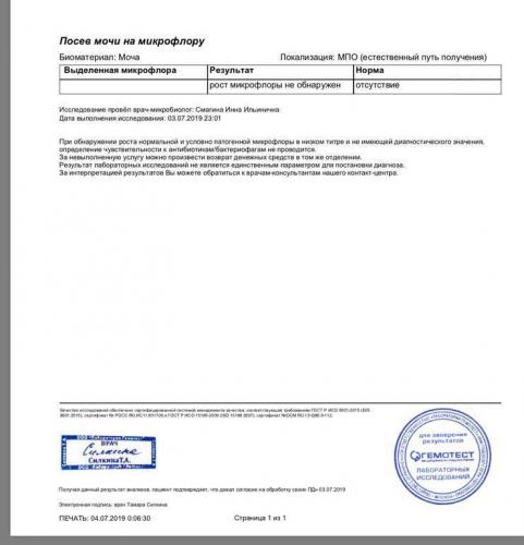 Бактерии в моче.