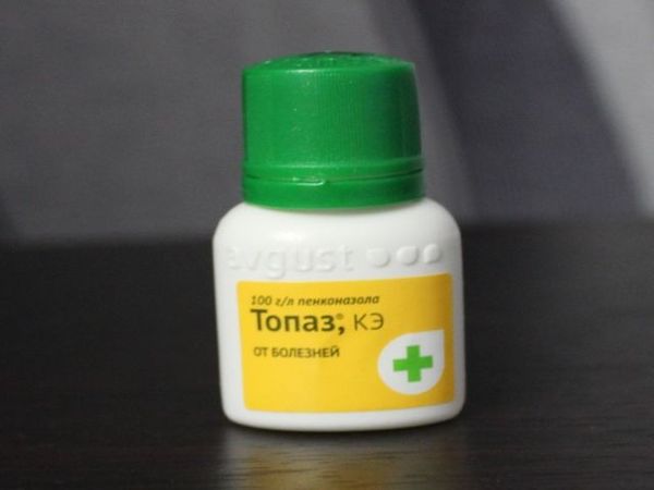 Фунгицид топаз