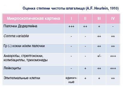 Бактериоскопия мазка расшифровка у женщин