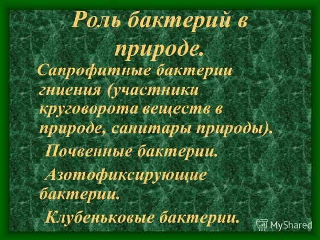 Урок биологии в 6 классе "распространение бактерий. значение бактерий в природе и жизни человека"