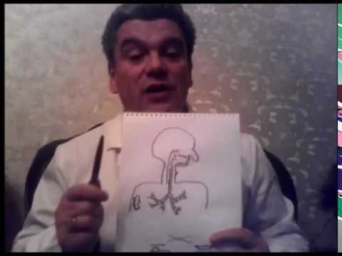 Бронхит у детей: 5 проверенных методов лечение народными средствами