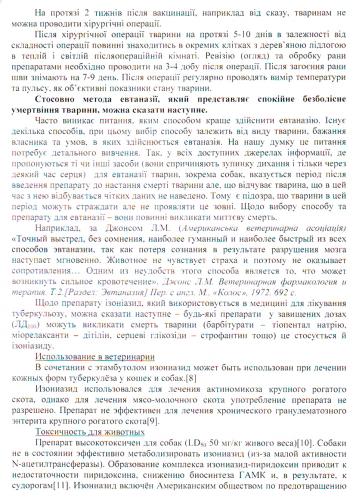 Применение таблеток изониазид для собак – инструкция