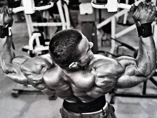 Лучшие упражнения для мышц спины