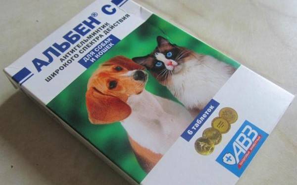 Альбен описание, характеристика и инструкция по применению препарата для кошек