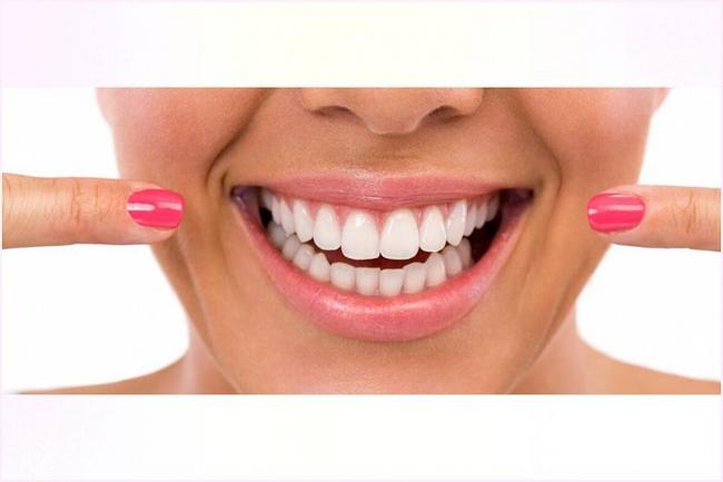 Полезные бактерии. роль и значение бактерий в жизни человека. фото