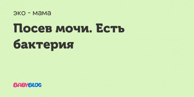 Анализ мочи на бакпосев