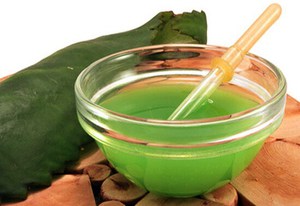 Каланхоэ при насморке