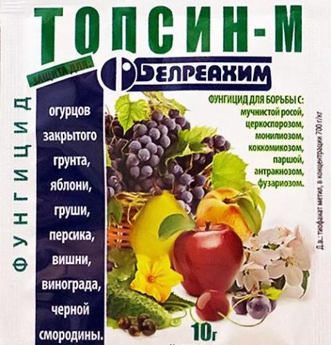 Фугницид “топаз кэ”: избавляемся от мучнистой розы за 2 часа