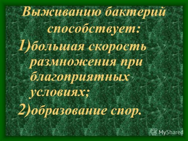 Урок биологии в 6 классе "распространение бактерий. значение бактерий в природе и жизни человека"