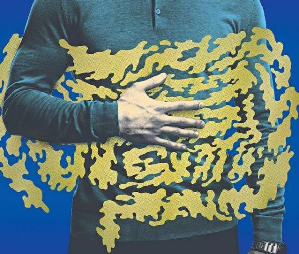 Полезные бактерии для человека – откуда они берутся и как наладить баланс микрофлоры в организме?