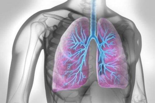 Как узнать что человек вылечился от воспаления легких?