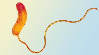 Большая война с маленьким врагом, или как уничтожить бактерии